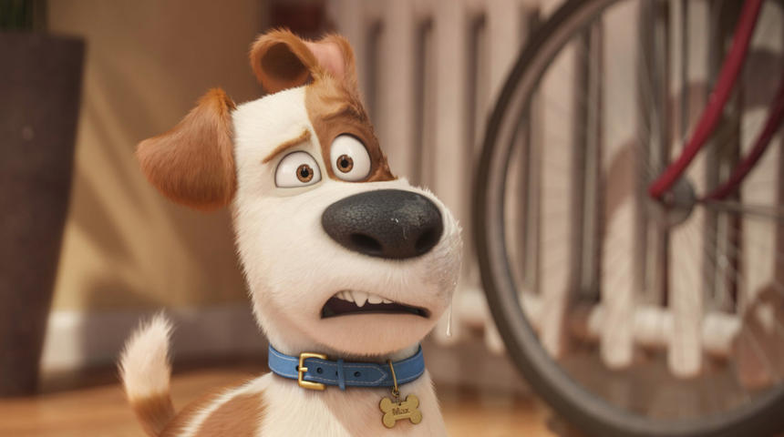 Box-office nord-américain : The Secret Life of Pets devance Ghostbusters