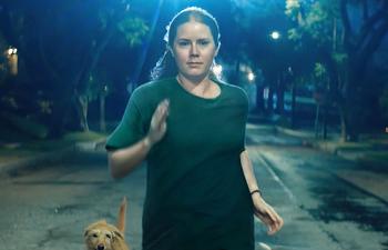 Sortie à surveiller : Nightbitch avec Amy Adams