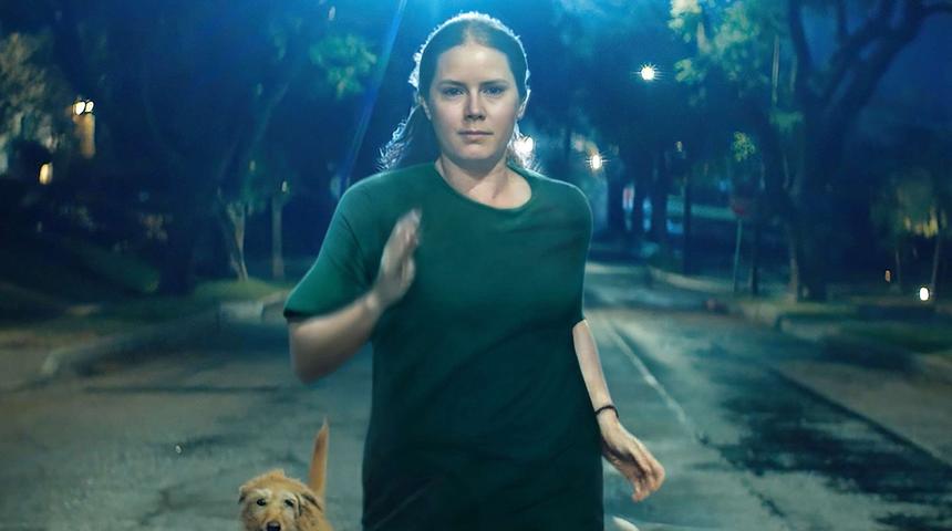 Sortie à surveiller : Nightbitch avec Amy Adams